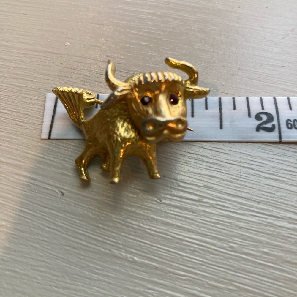 Pin/brooch